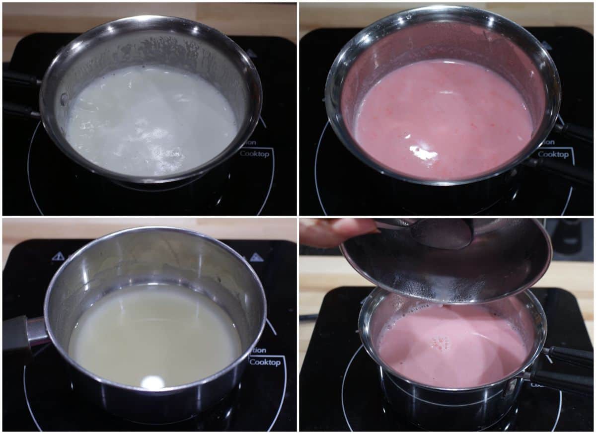 process shot to make agar agar pudding